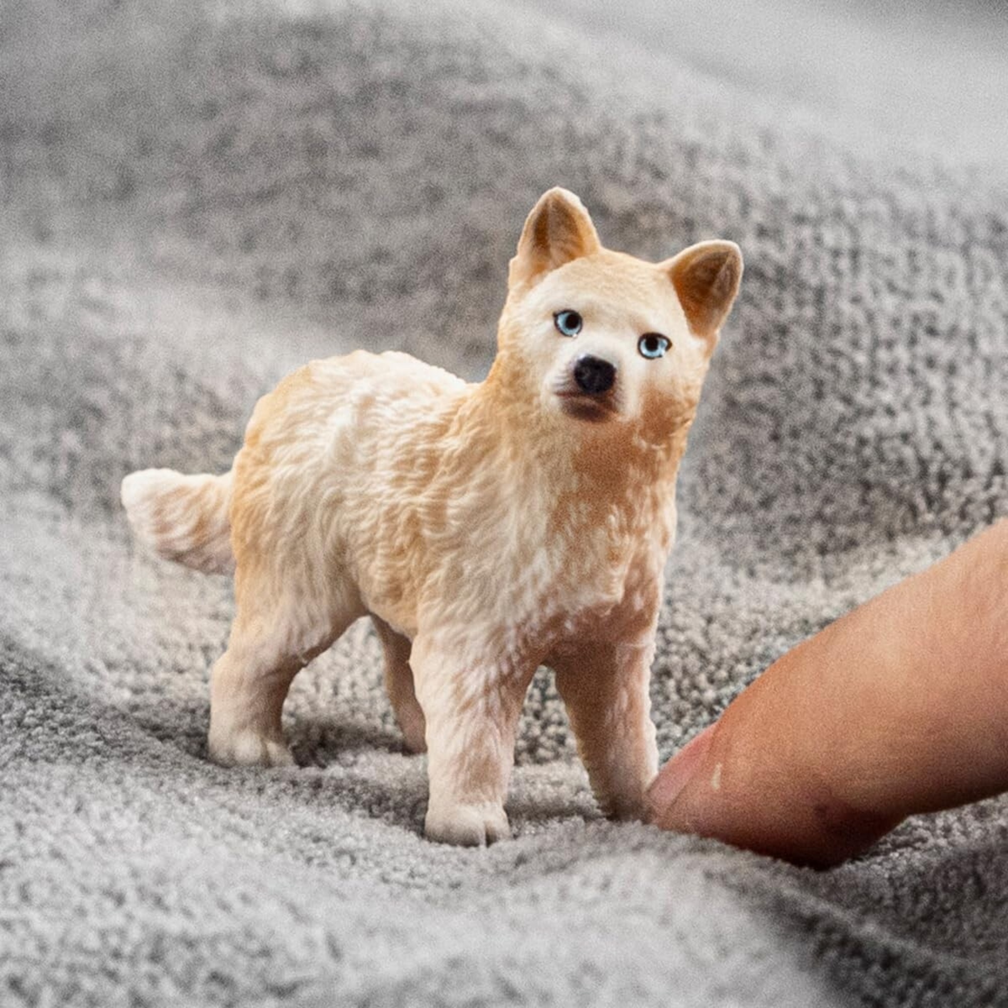 Cucciolo di lupo artico - schleich - Schleich