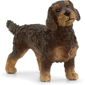 Bassotto a pelo ruvido - schleich - Schleich