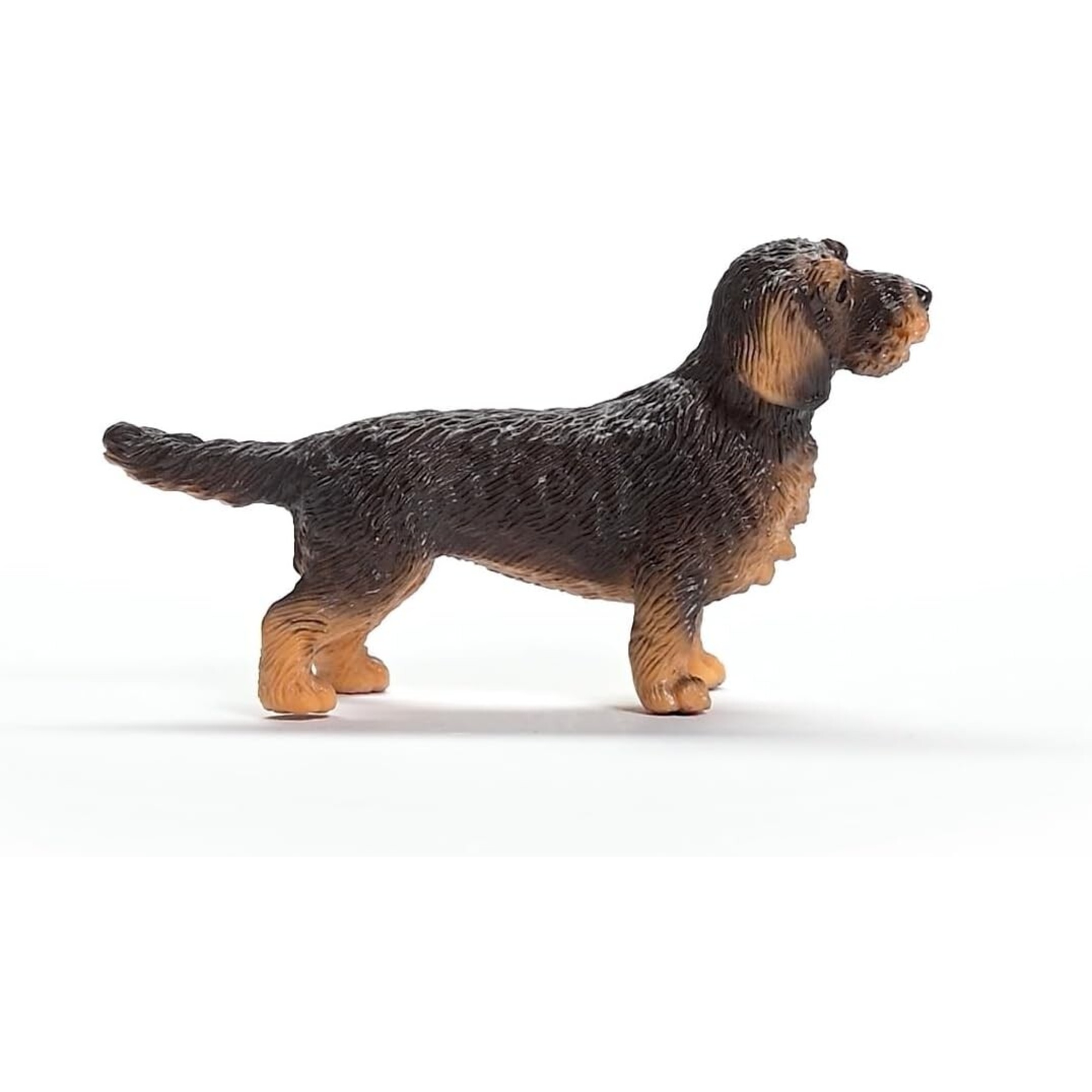 Bassotto a pelo ruvido - schleich - Schleich
