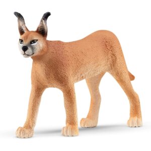 Caracal femmina - schleich - Schleich
