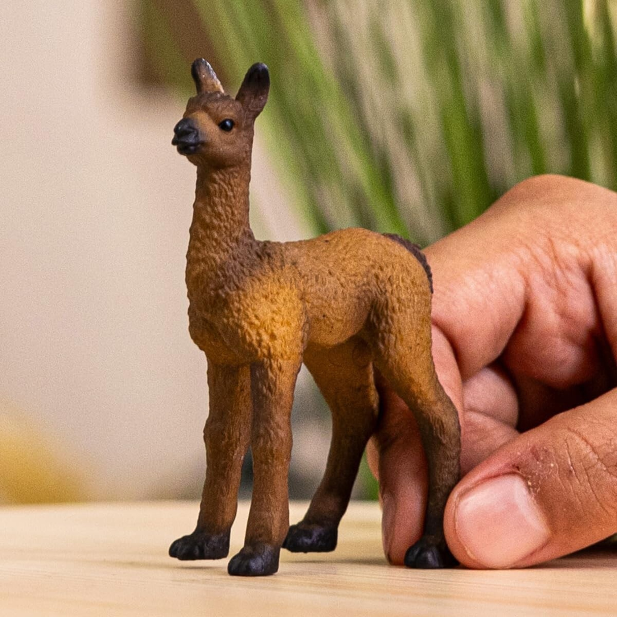 Cucciolo di lama - schleich - Schleich
