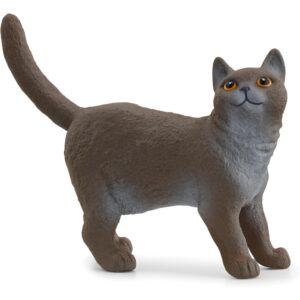 Gatto british shorthair - schleich - Schleich