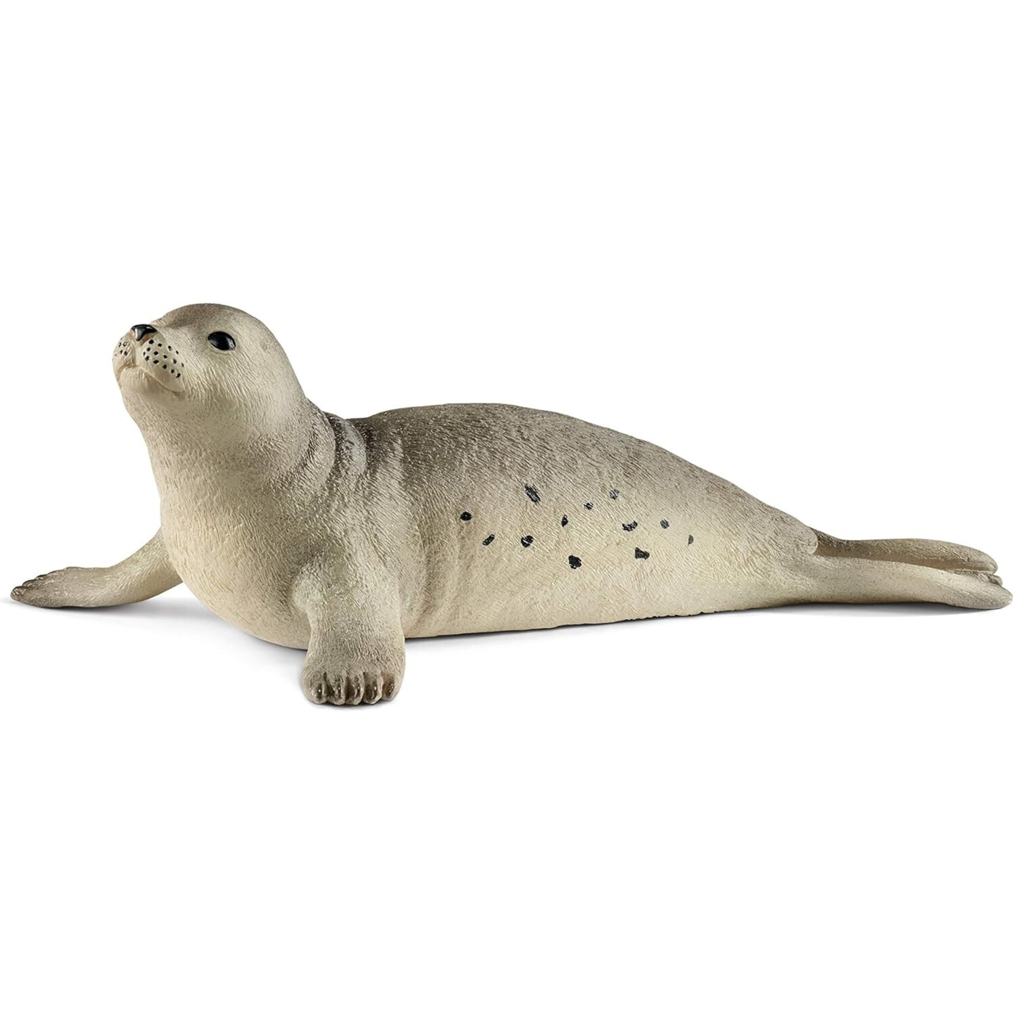 Foca - schleich - Schleich