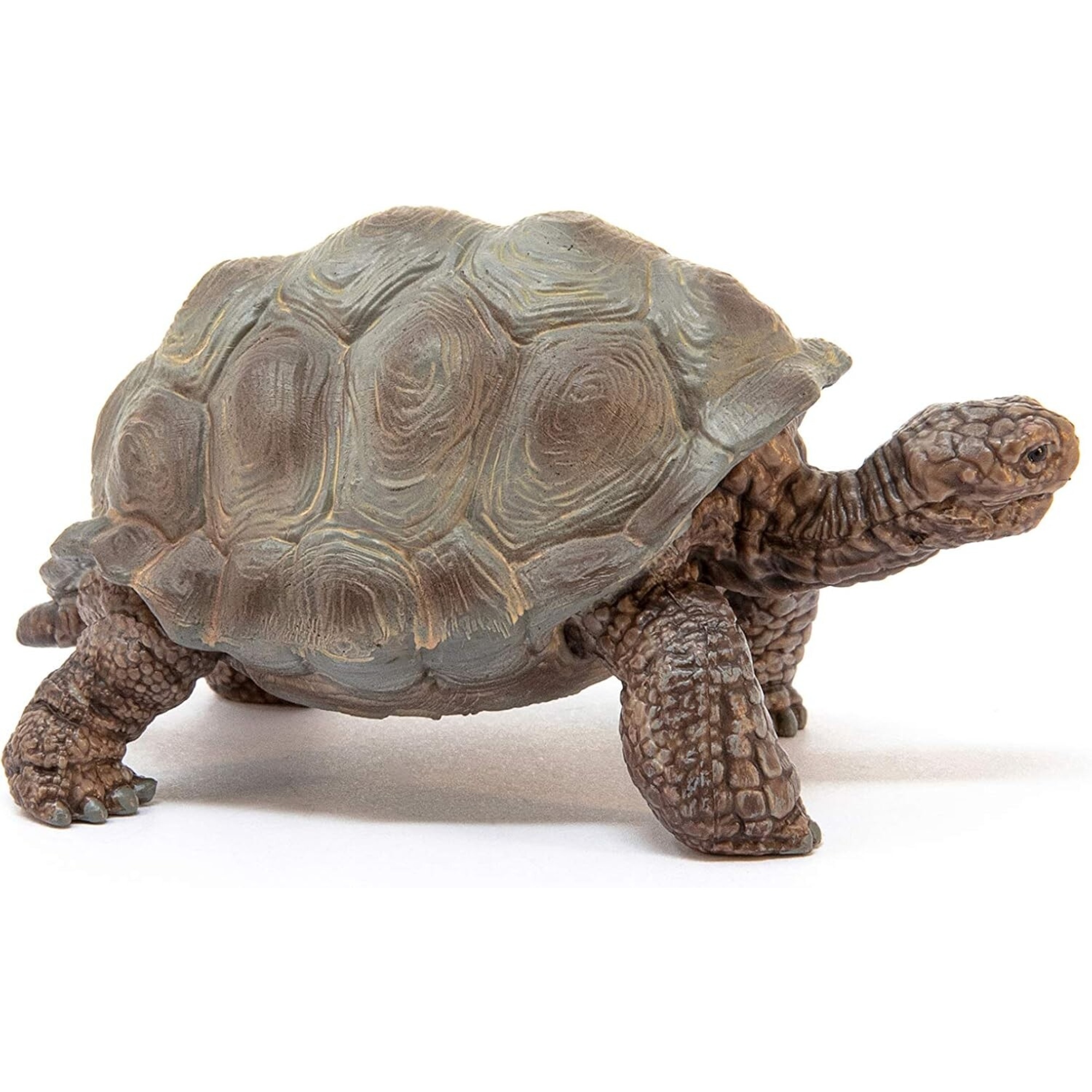 Tartaruga gigante - schleich - Schleich
