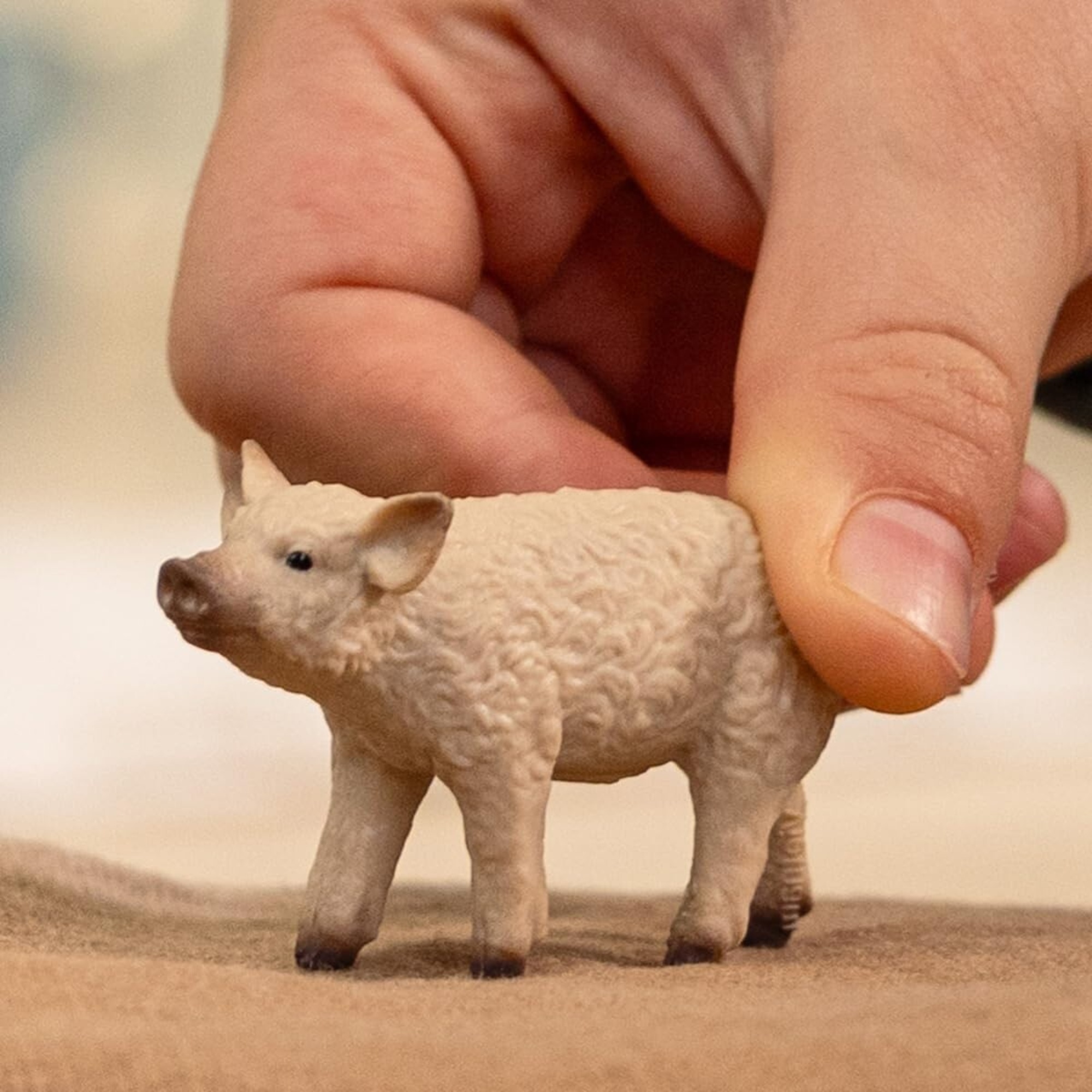 Maialino mangalica - schleich - Schleich