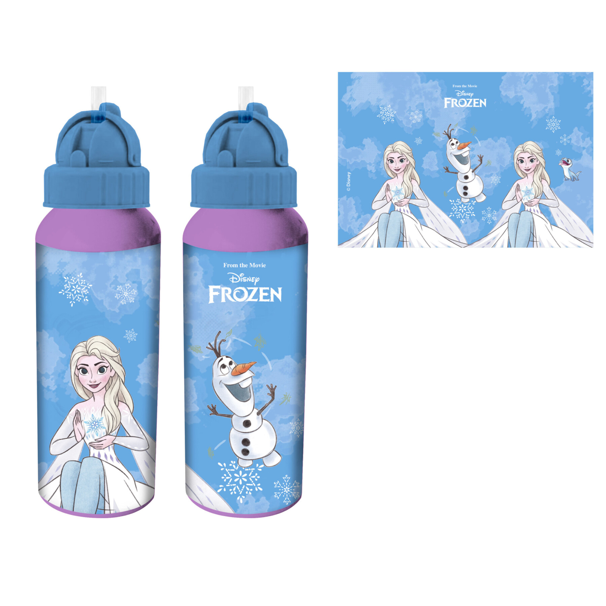 Borraccia alluminio 550 ml con beccuccio - frozen assortita - modello sport - Frozen