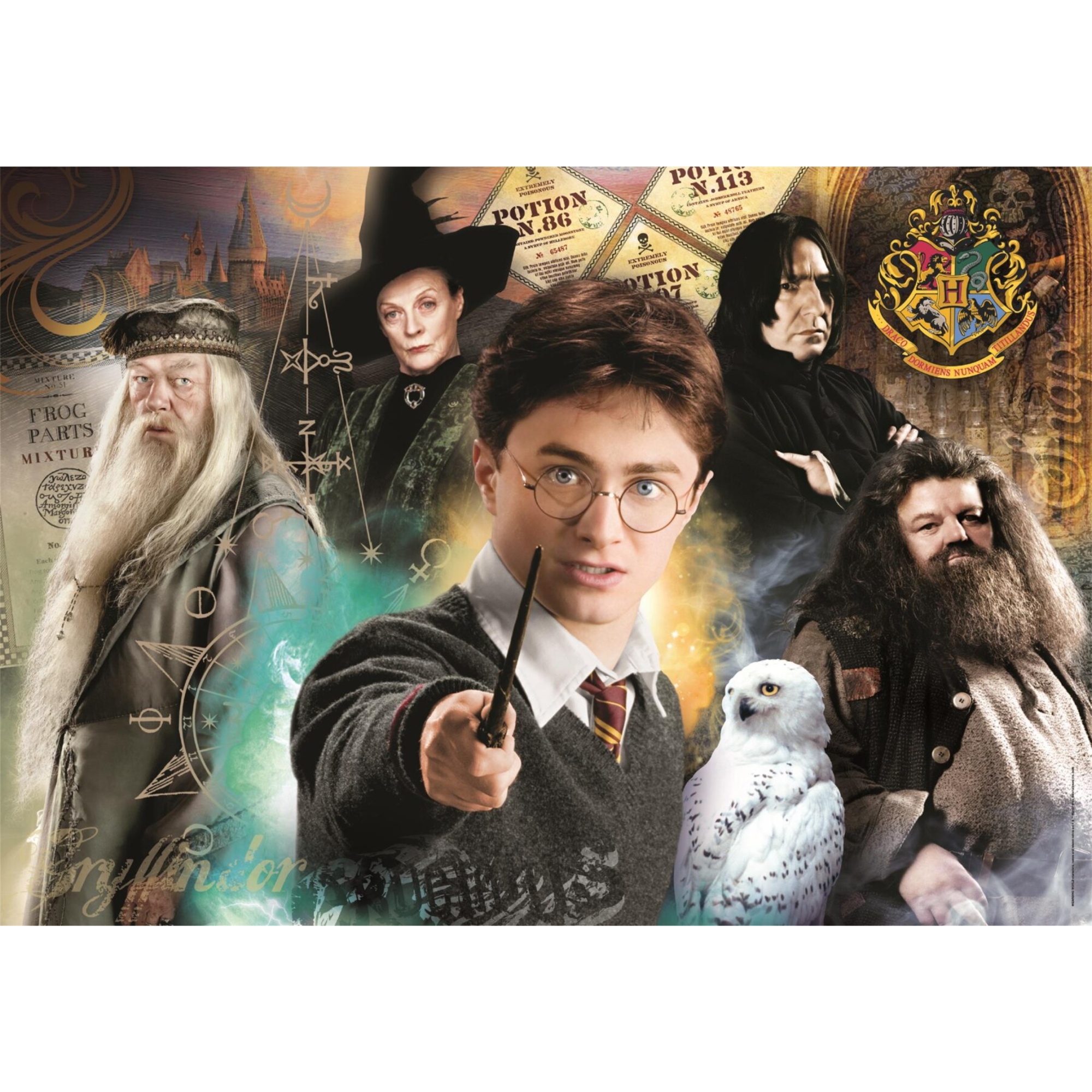 Clementoni - harry potter - 35534 - CLEMENTONI, Harry Potter