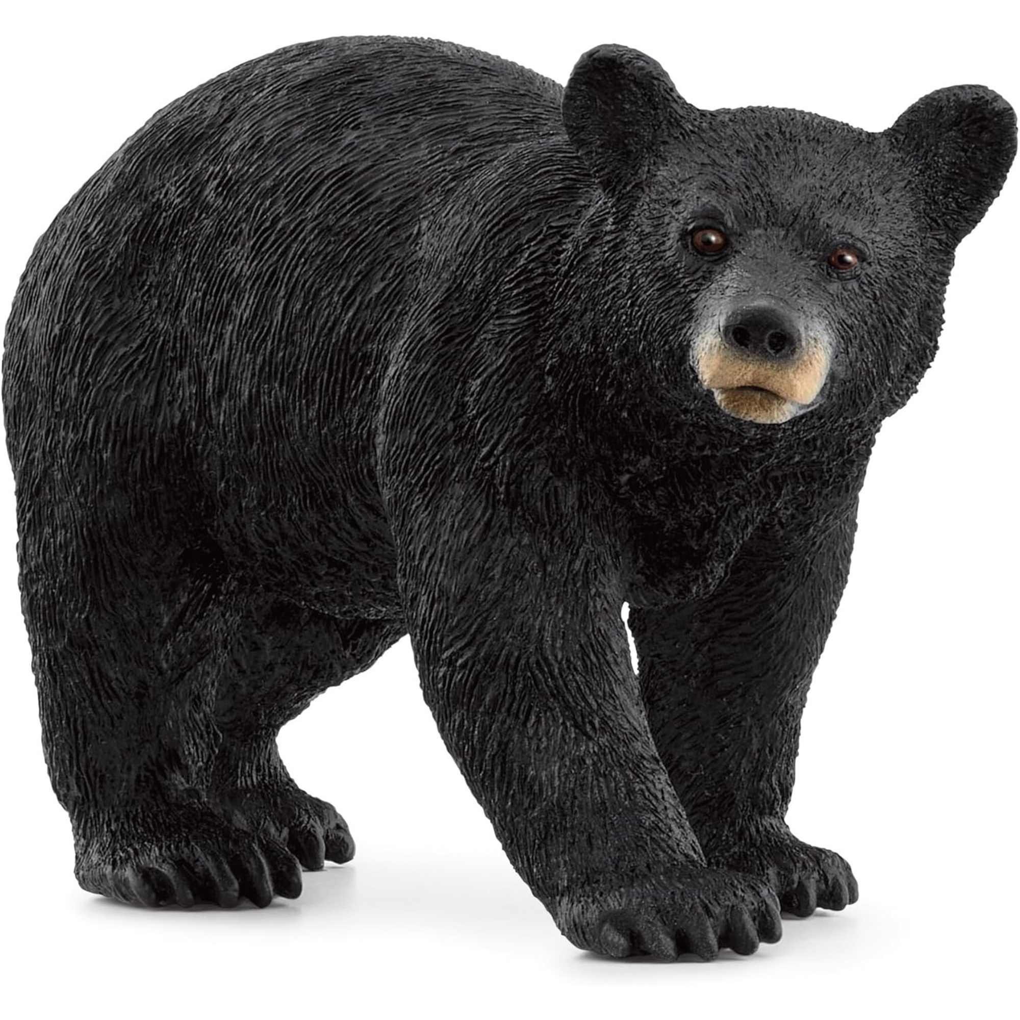 Orso nero americano - schleich - Schleich