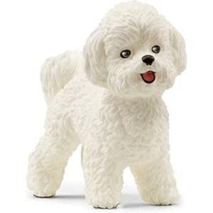 Bichon frisé - schleich - Schleich