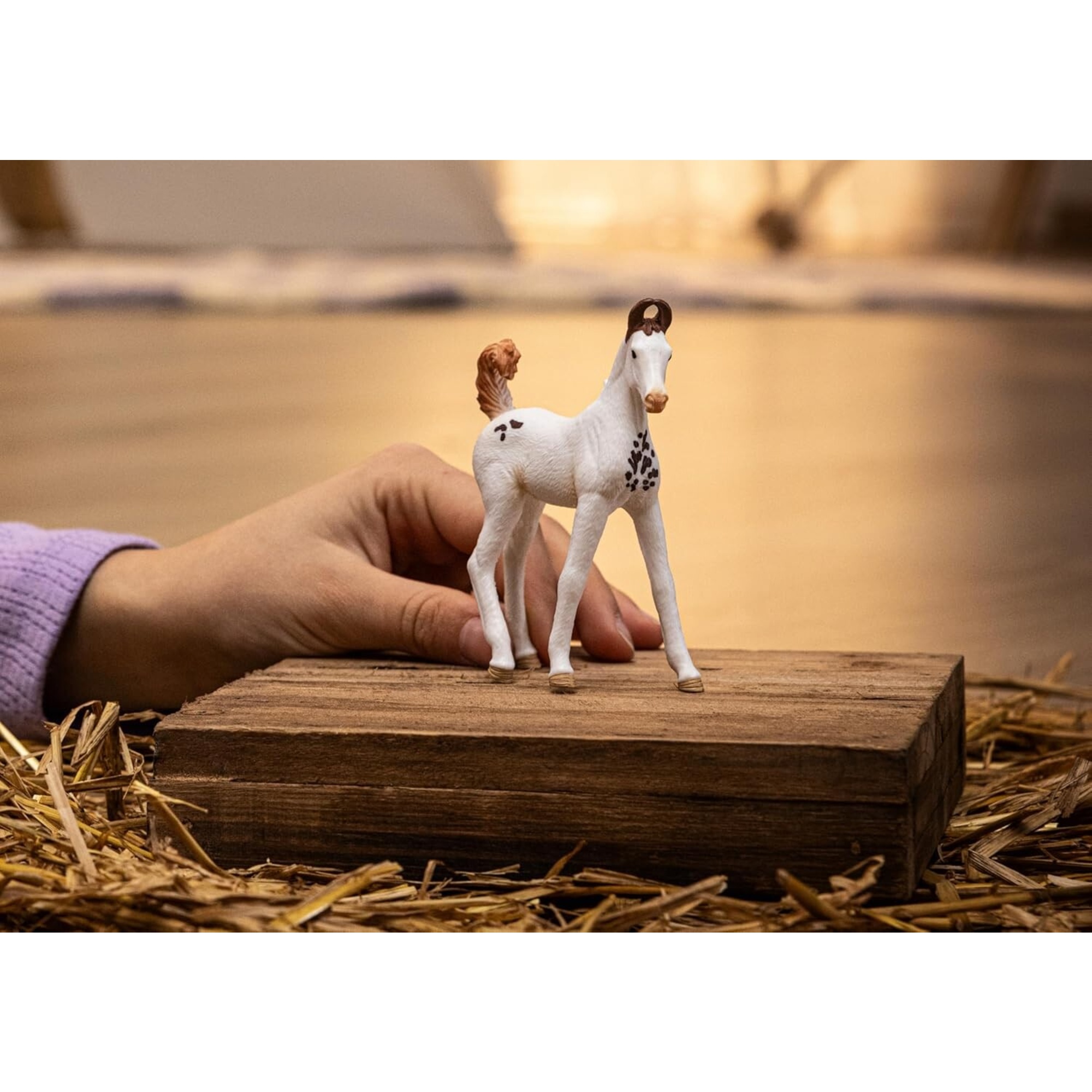 Puledro marwari - schleich - Schleich