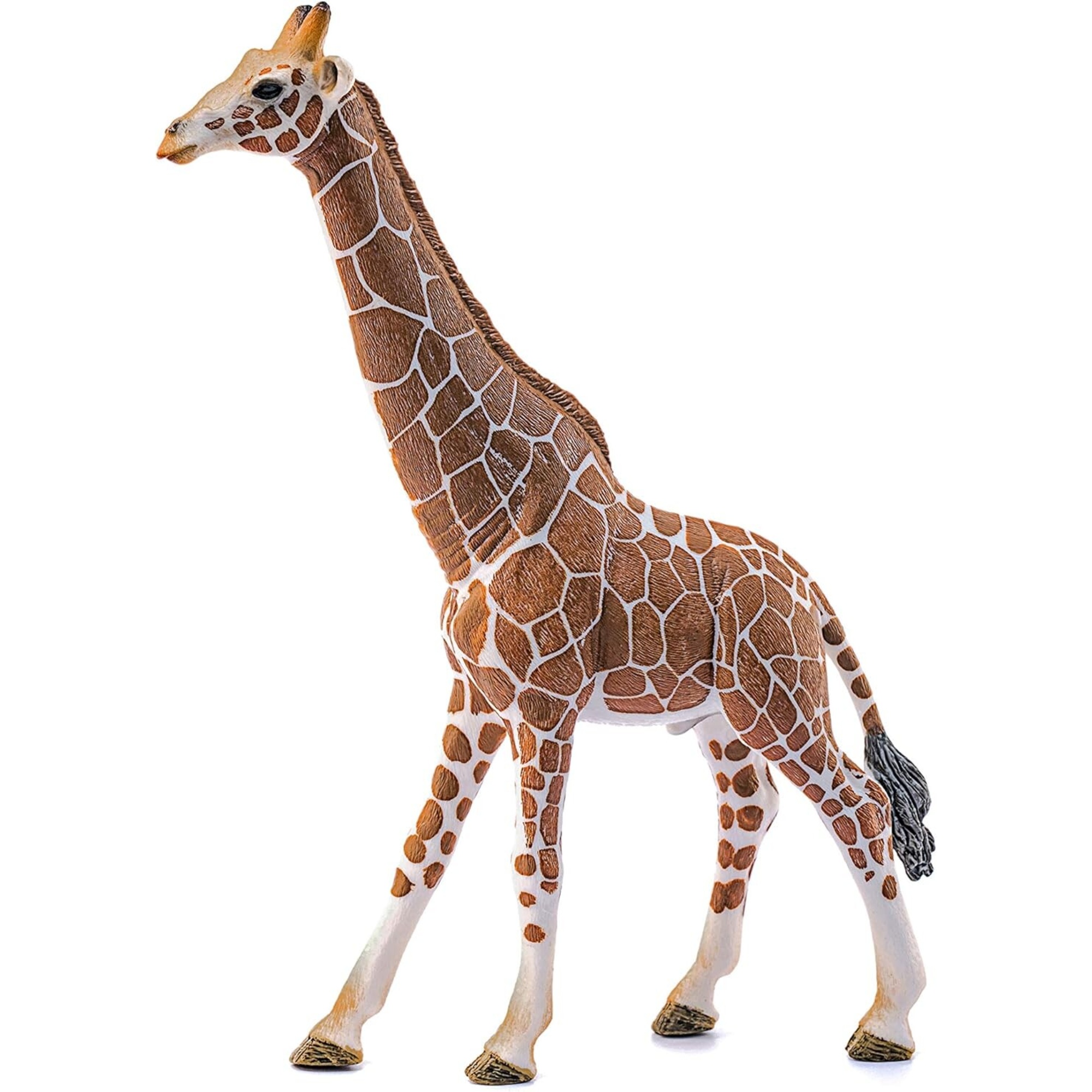 Giraffa, maschio - schleich - Schleich